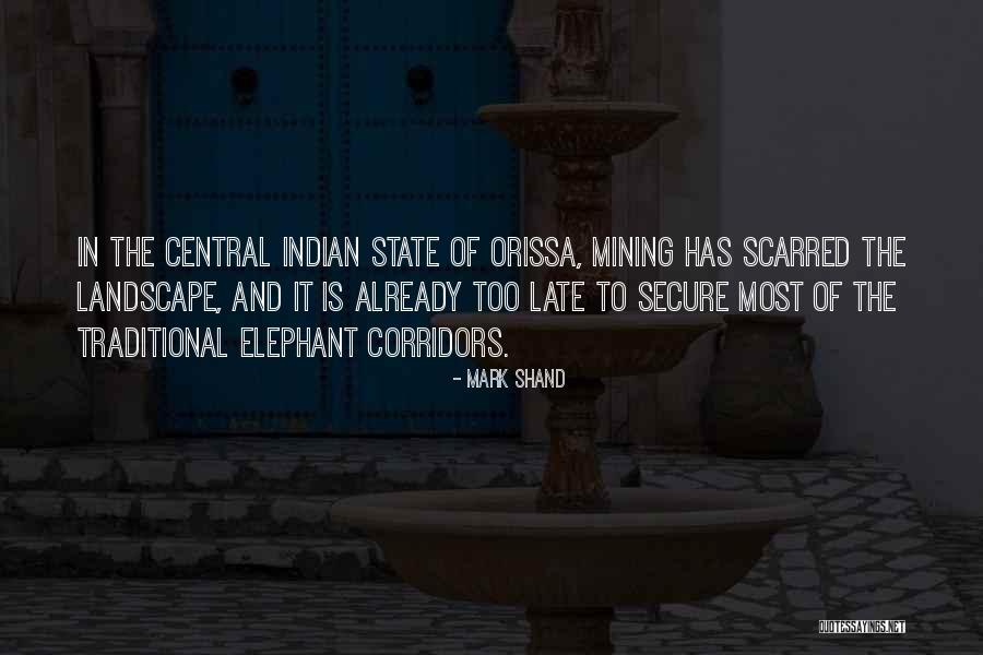 Ryohei Hase Quotes By Mark Shand Ryohei Hase Quotes By Mark Shand