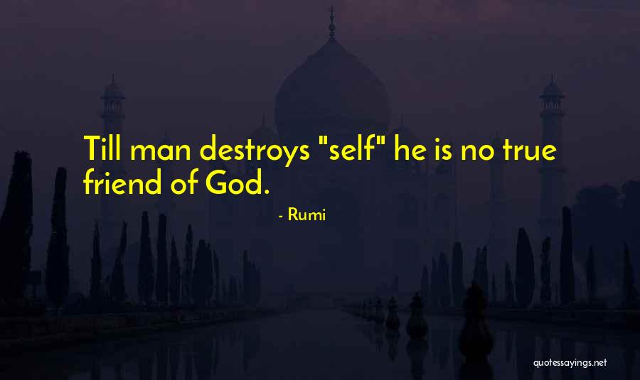 Ryojun Shionuma Quotes By Rumi Ryojun Shionuma Quotes By Rumi