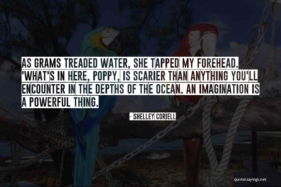 Ryoku All Star Quotes By Shelley Coriell Ryoku All Star Quotes By Shelley Coriell
