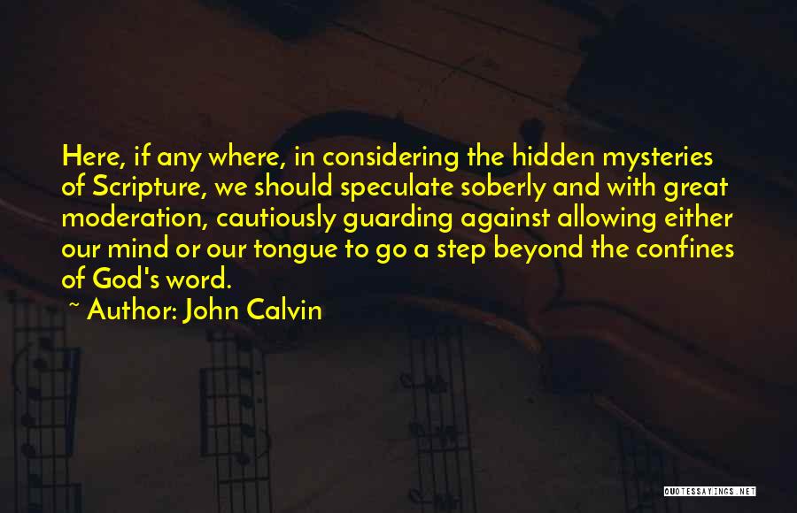 Ryona Rpg Quotes By John Calvin
