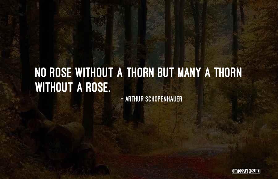 Ryosuke Yamamoto Quotes By Arthur Schopenhauer Ryosuke Yamamoto Quotes By Arthur Schopenhauer