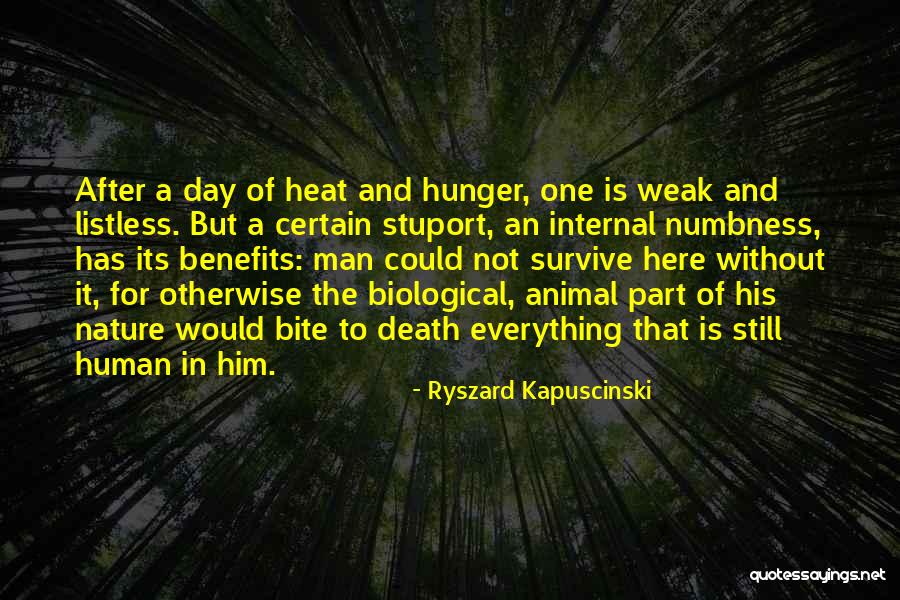 Ryszard Kapuscinski Quotes 796206