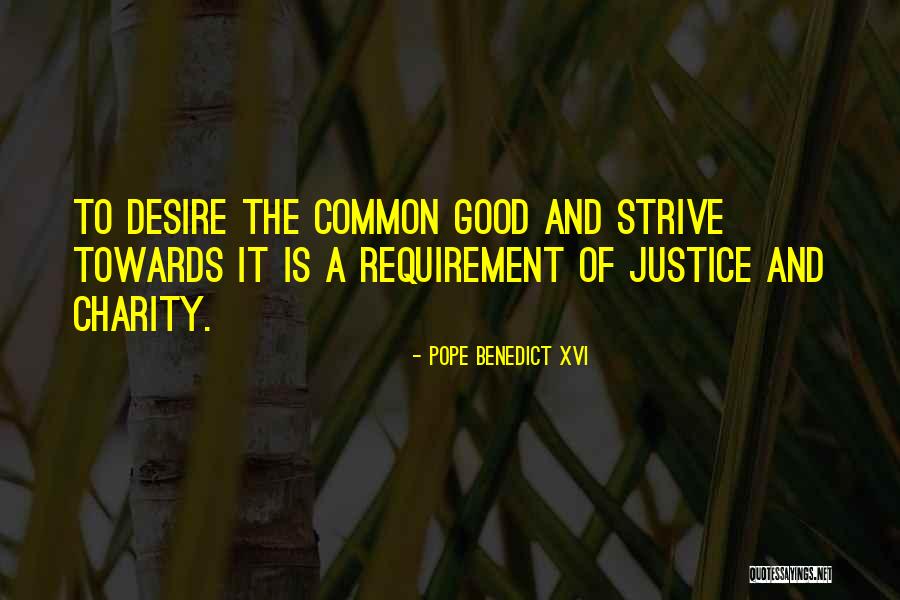 Rytis Zemkauskas Quotes By Pope Benedict XVI