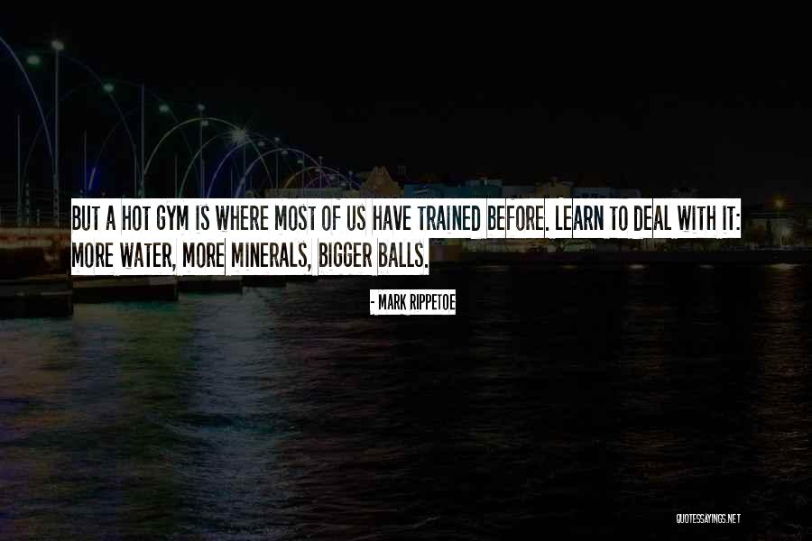 Ryuhei Koshita Quotes By Mark Rippetoe Ryuhei Koshita Quotes By Mark Rippetoe