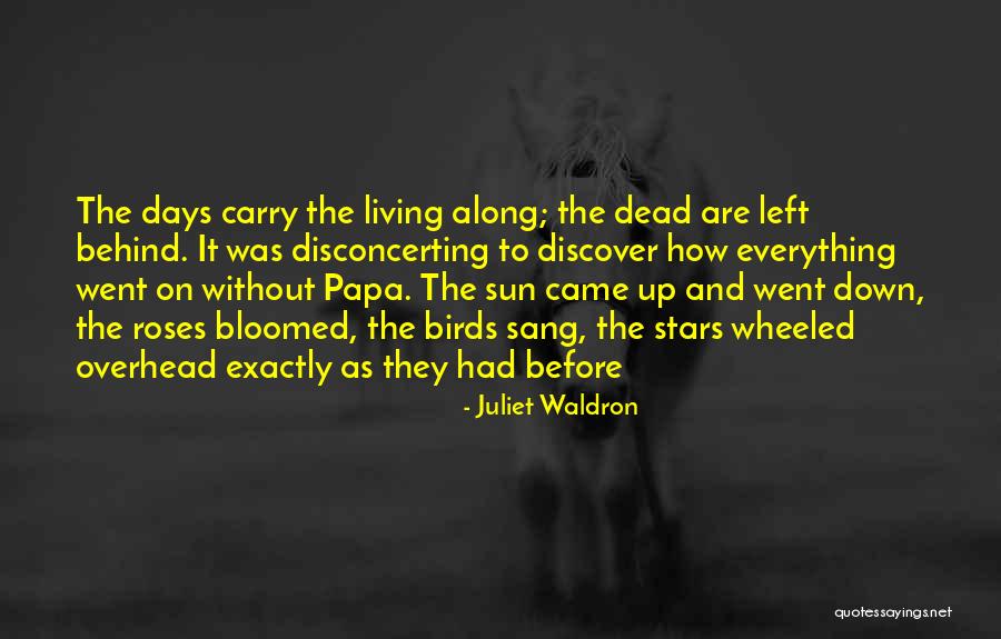 Ryuto Kazuhara Quotes By Juliet Waldron Ryuto Kazuhara Quotes By Juliet Waldron