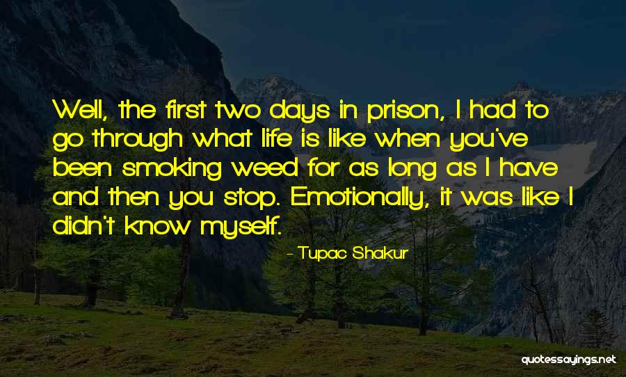 Ryver Sinks Quotes By Tupac Shakur Ryver Sinks Quotes By Tupac Shakur