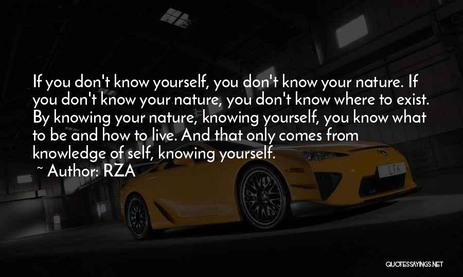 RZA Quotes 701911