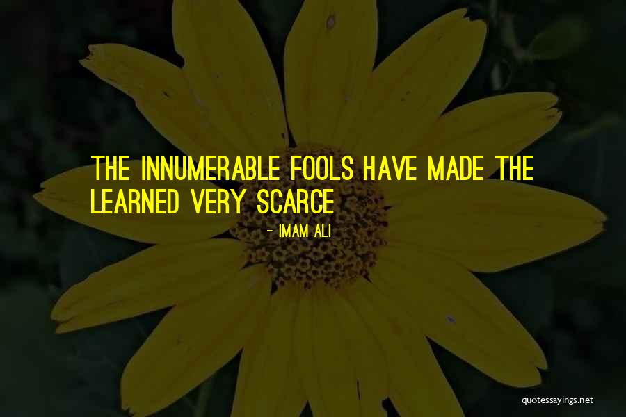 Rzymska Epopeja Quotes By Imam Ali Rzymska Epopeja Quotes By Imam Ali