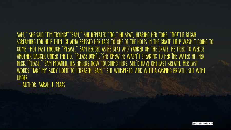 S.a.d Quotes By Sarah J. Maas