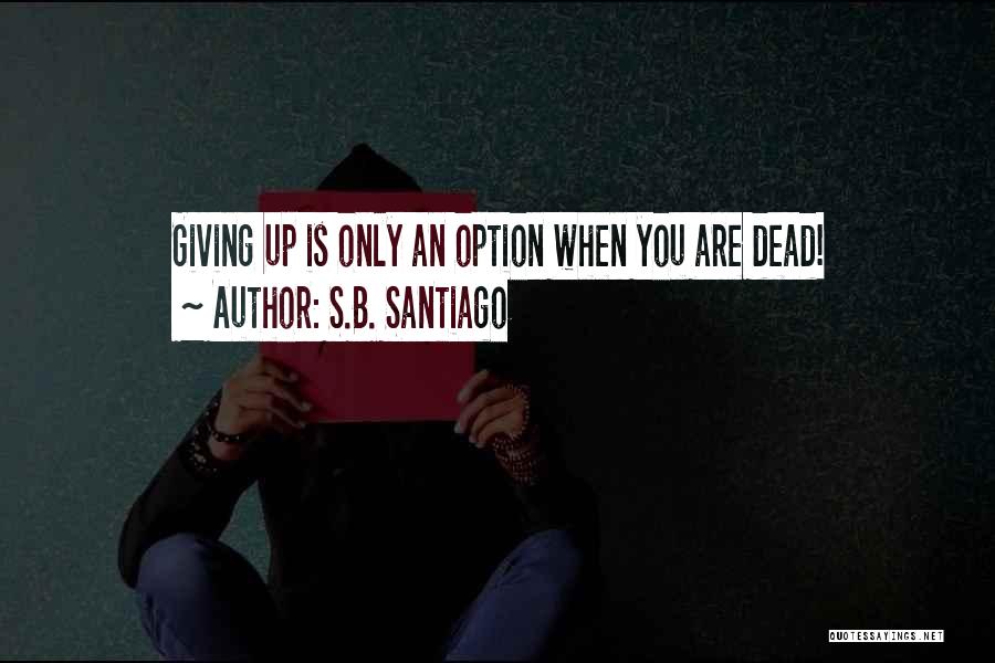 S.B. Santiago Quotes 2049451