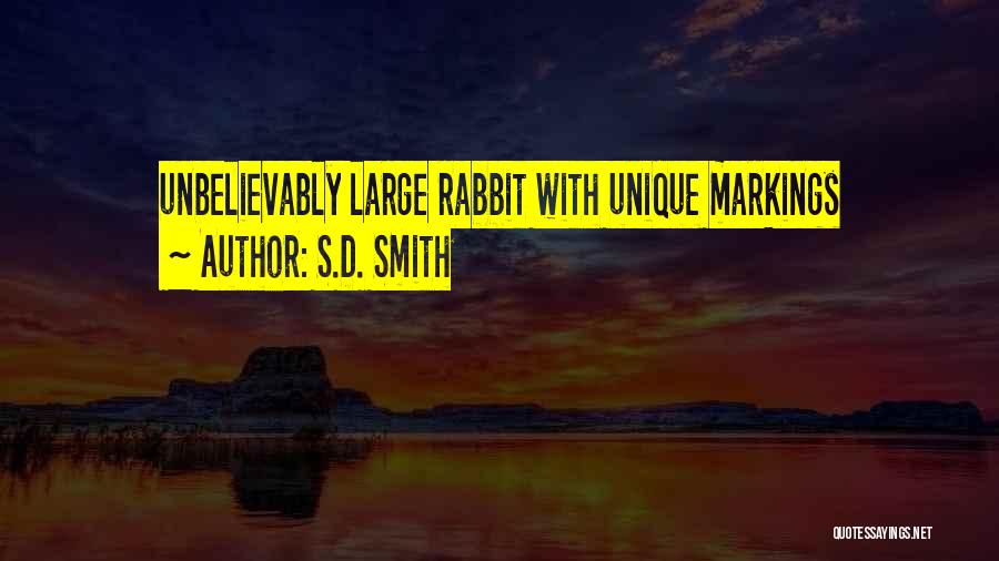 S.D. Smith Quotes 1034338