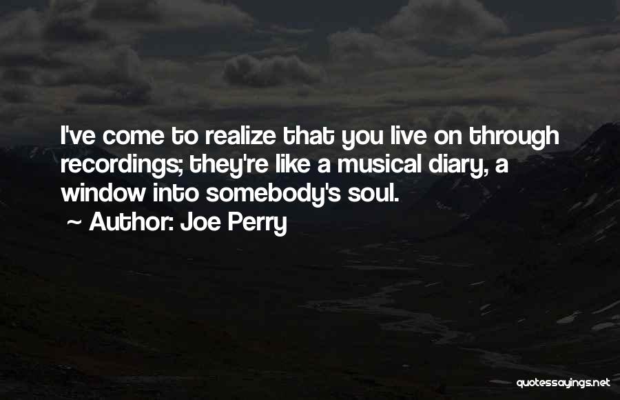 S Diary Quotes By Joe Perry