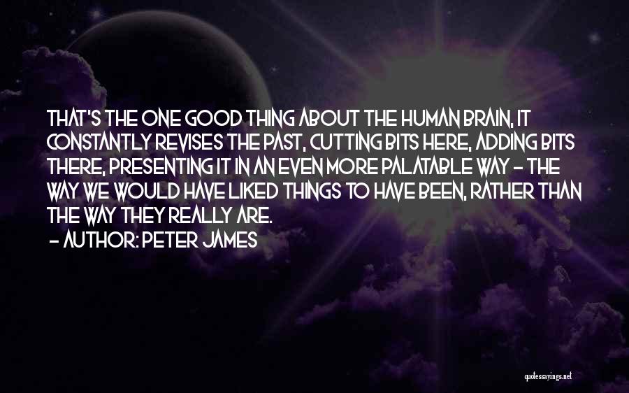 S Diary Quotes By Peter James