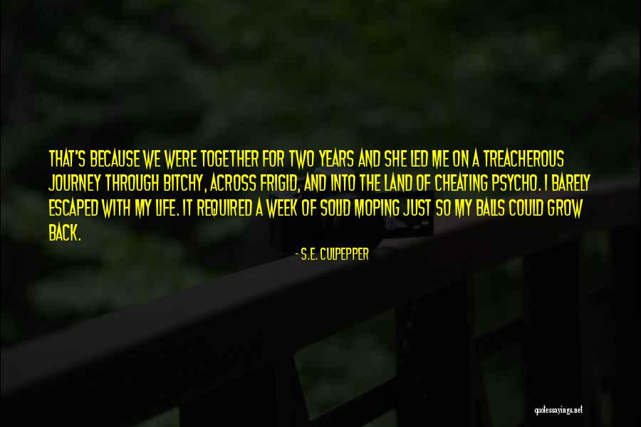 S.E. Culpepper Quotes 477345 S.E. Culpepper Quotes 477345