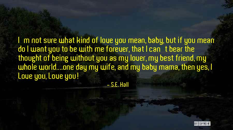 S.E. Hall Quotes 1125980 S.E. Hall Quotes 1125980