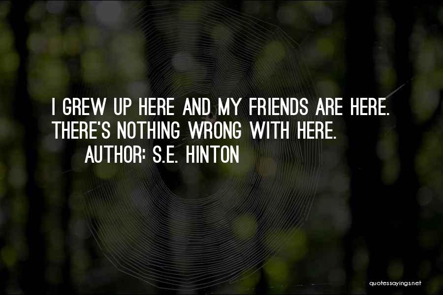 S.E. Hinton Quotes 1599883