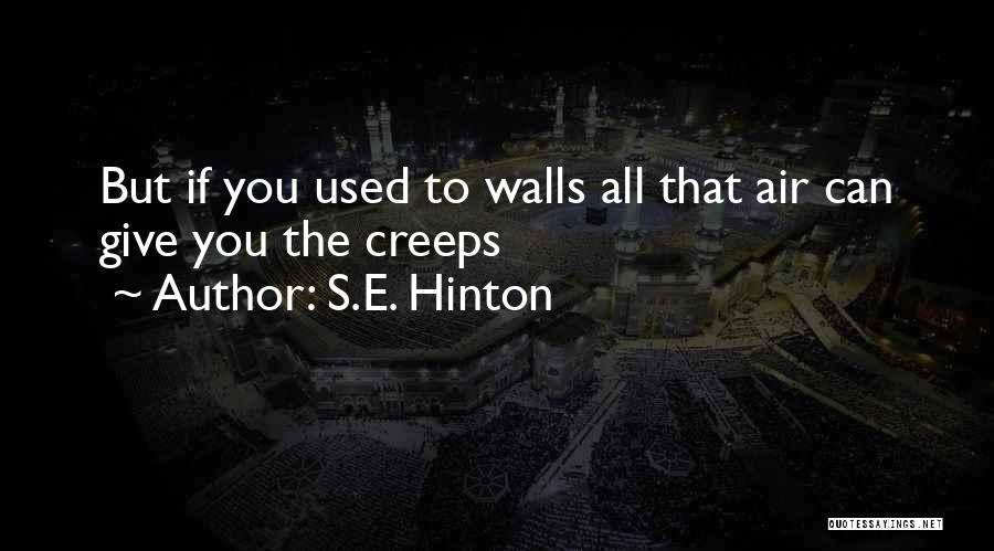 S.E. Hinton Quotes 182237