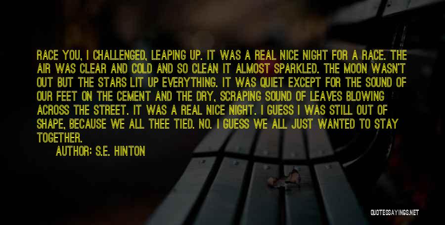 S.E. Hinton Quotes 1838406