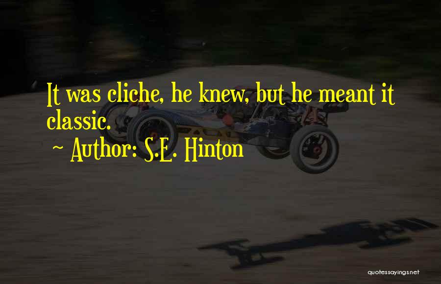 S.E. Hinton Quotes 2151988