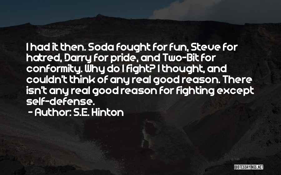 S.E. Hinton Quotes 261791