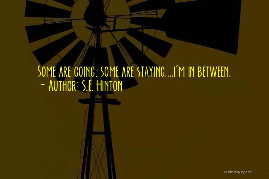 S.E. Hinton Quotes 371310