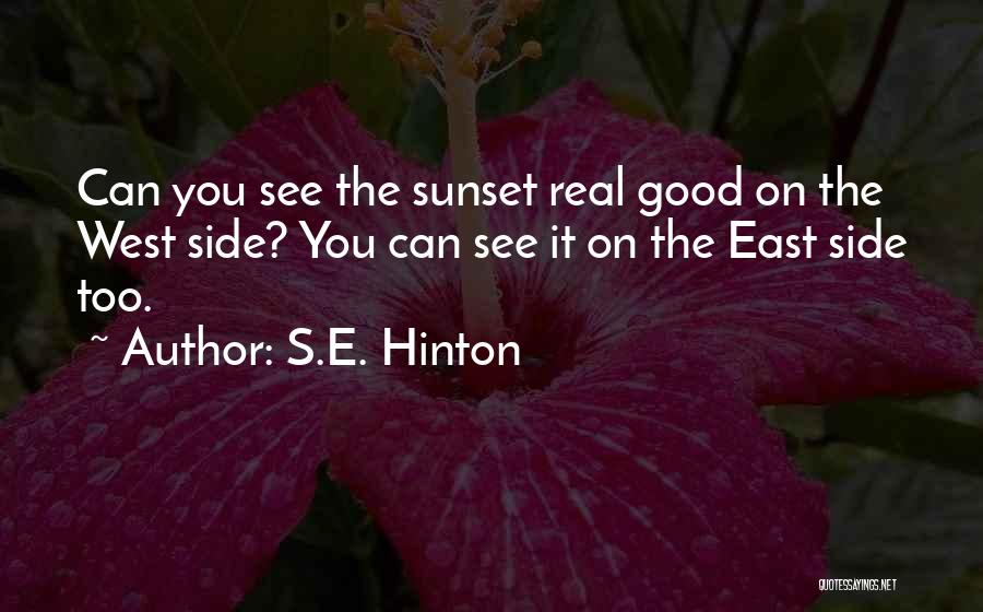 S.E. Hinton Quotes 913829