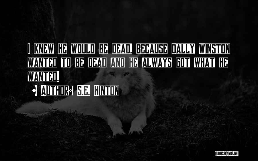 S.E. Hinton Quotes 999277