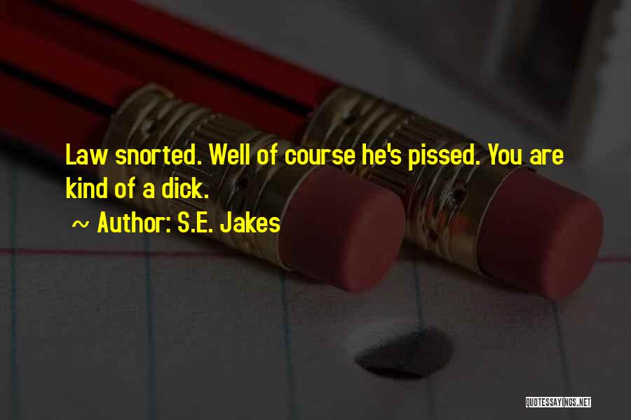 S.E. Jakes Quotes 788357