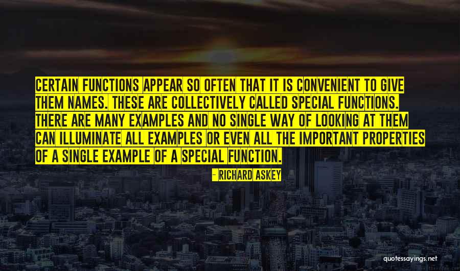 S Function Example Quotes By Richard Askey S Function Example Quotes By Richard Askey