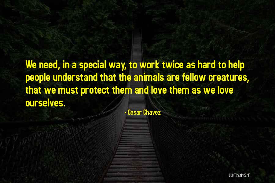 S Function Type Quotes By Cesar Chavez S Function Type Quotes By Cesar Chavez
