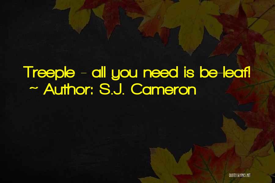 S.J. Cameron Quotes 1649657