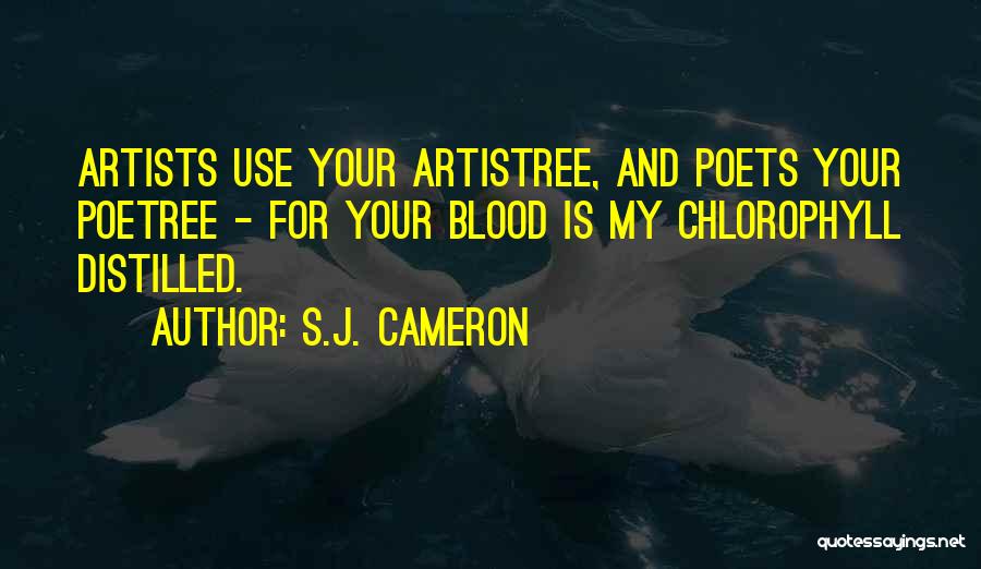 S.J. Cameron Quotes 769331