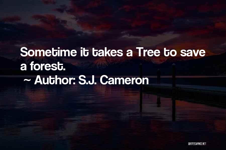 S.J. Cameron Quotes 876600