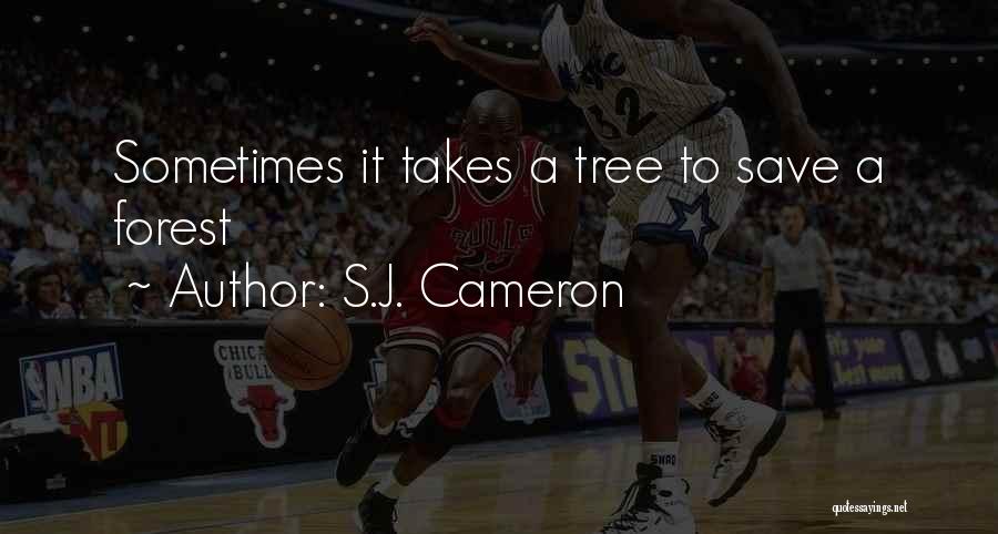 S.J. Cameron Quotes 900984