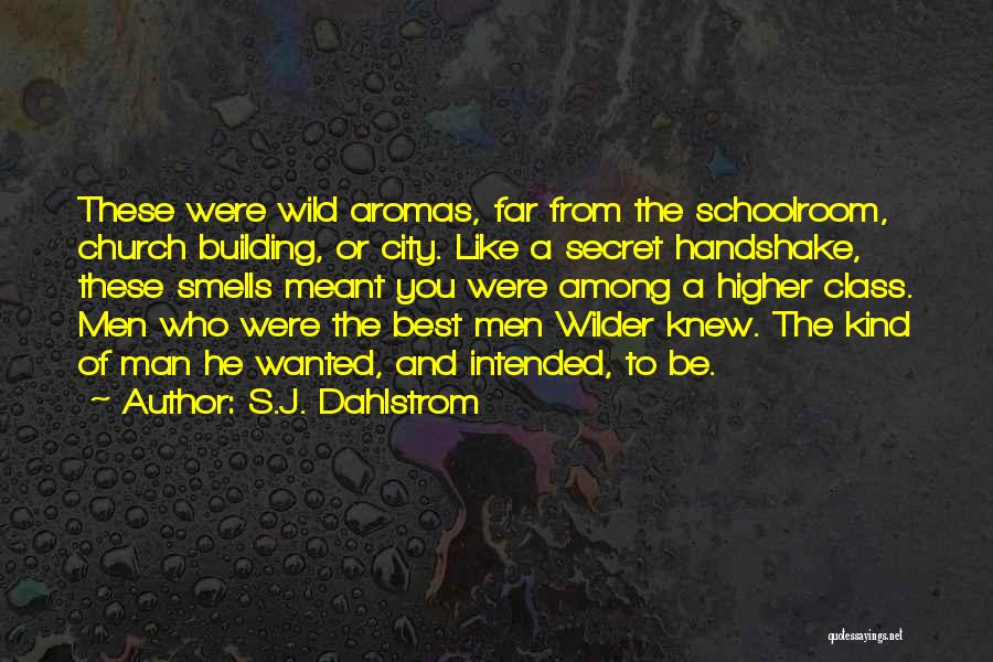 S.J. Dahlstrom Quotes 1548280