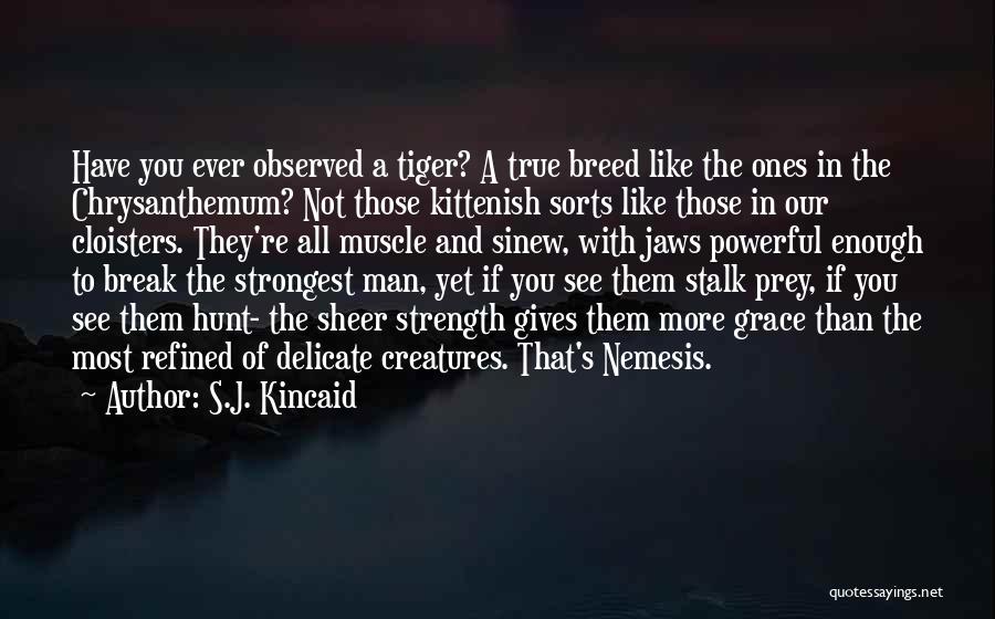 S.J. Kincaid Quotes 121361