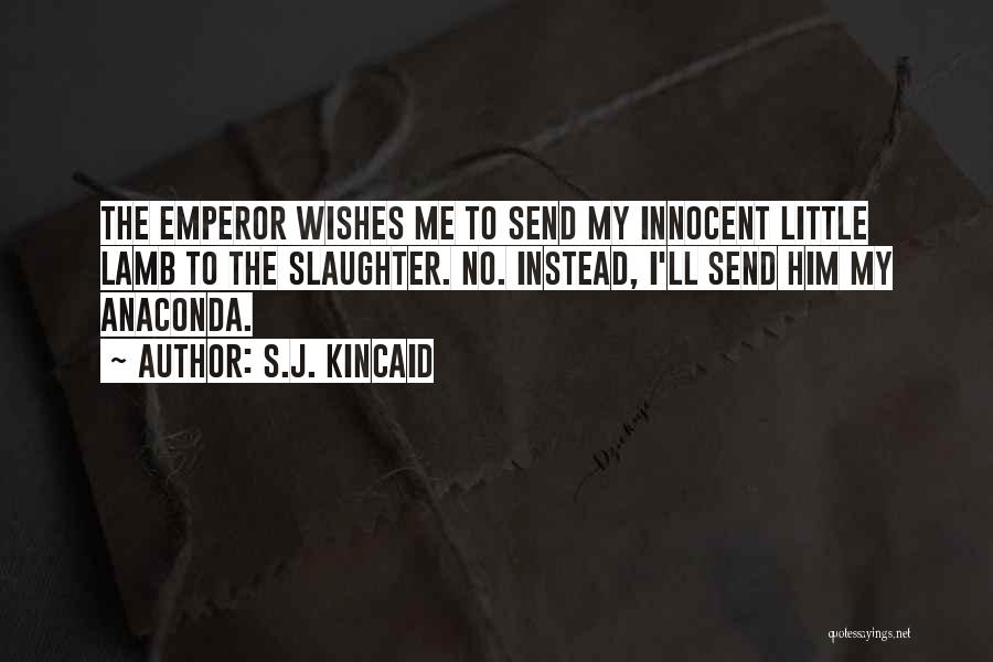 S.J. Kincaid Quotes 2162683