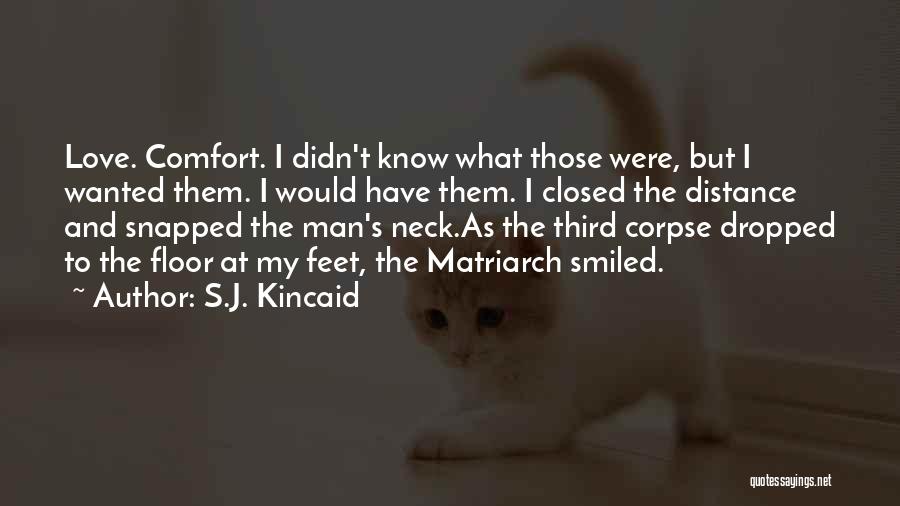 S.J. Kincaid Quotes 588415