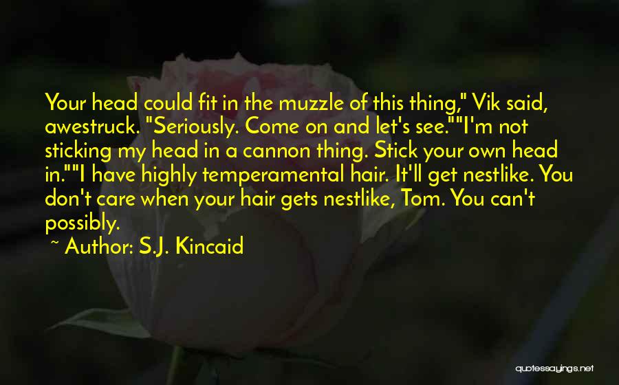 S.J. Kincaid Quotes 854494