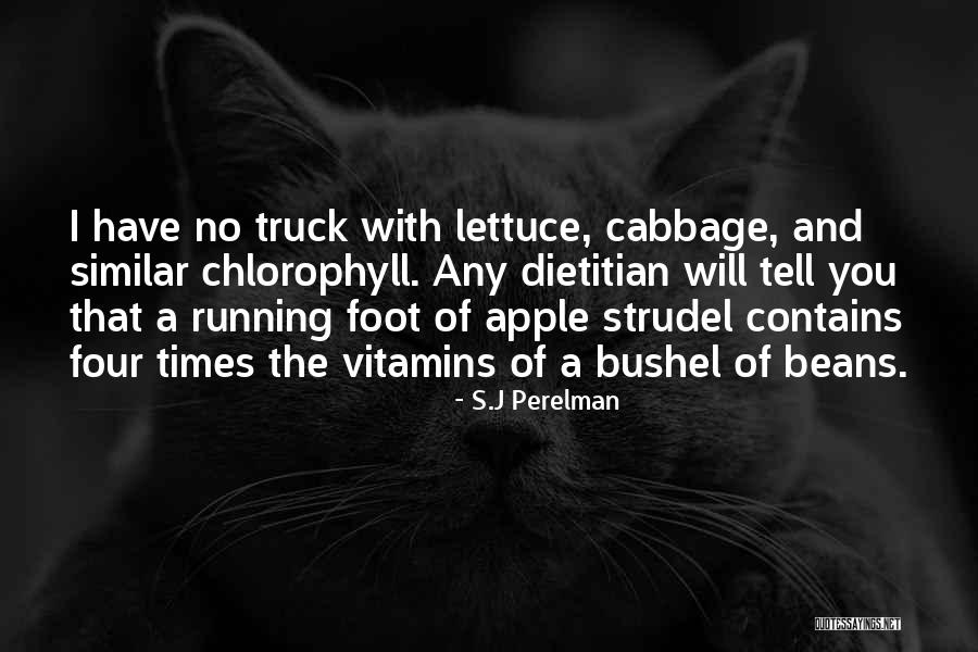 S.J Perelman Quotes 1811883 S.J Perelman Quotes 1811883