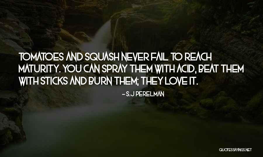 S.J Perelman Quotes 2112553 S.J Perelman Quotes 2112553