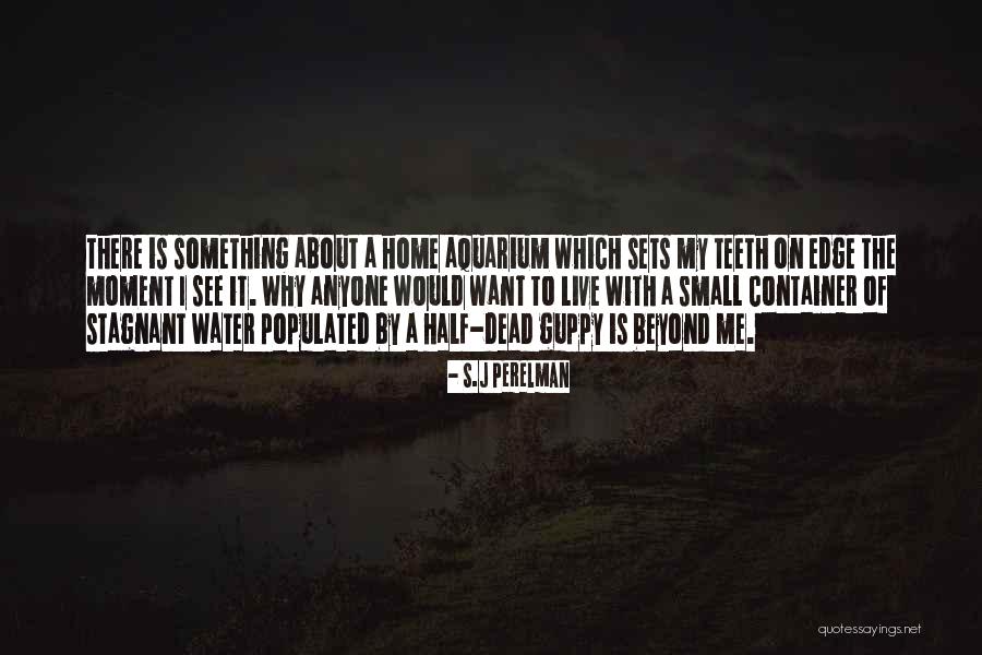 S.J Perelman Quotes 775739 S.J Perelman Quotes 775739