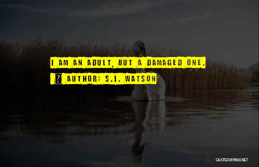 S.J. Watson Quotes 101148