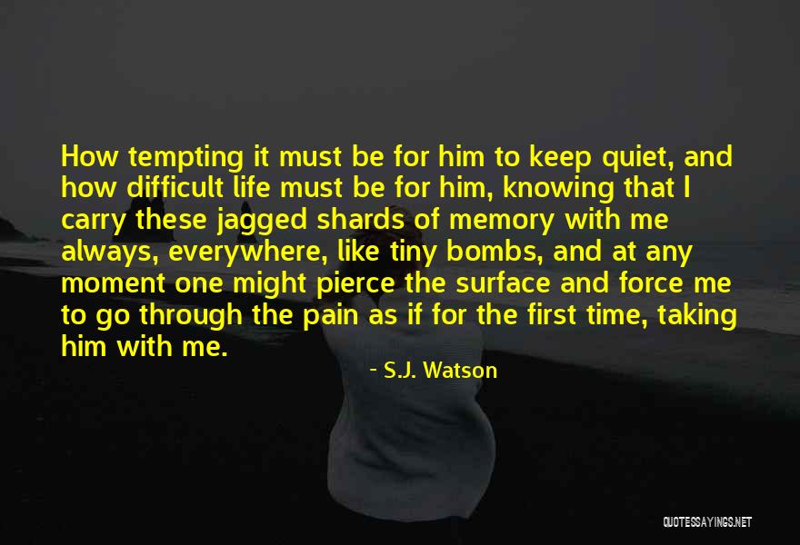 S.J. Watson Quotes 1736266 S.J. Watson Quotes 1736266