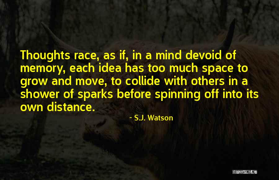 S.J. Watson Quotes 2056224