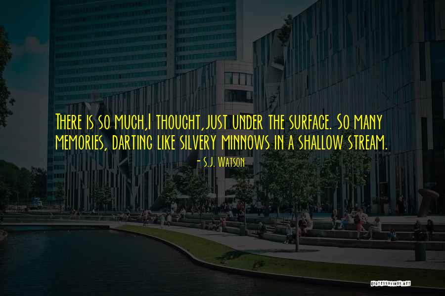 S.J. Watson Quotes 493102 S.J. Watson Quotes 493102