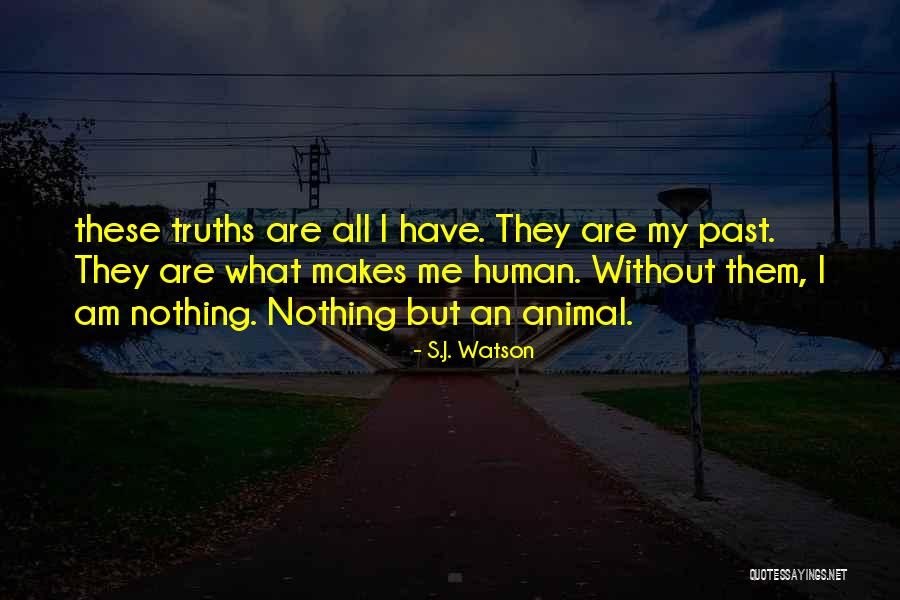 S.J. Watson Quotes 566330