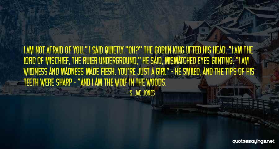 S. Jae-Jones Quotes 1591117 S. Jae-Jones Quotes 1591117