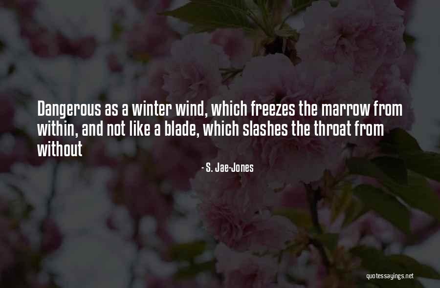 S. Jae-Jones Quotes 86914 S. Jae-Jones Quotes 86914
