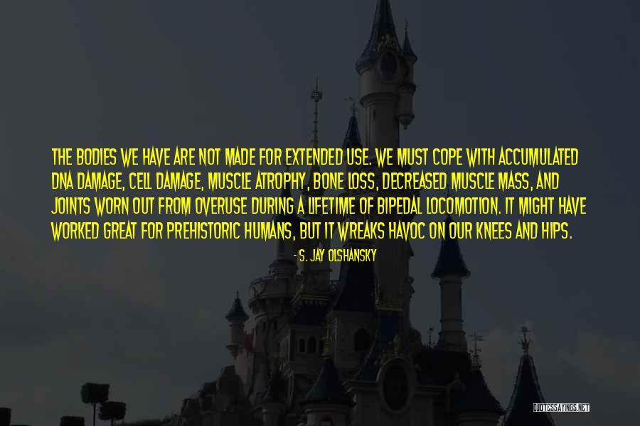 S. Jay Olshansky Quotes 1560228 S. Jay Olshansky Quotes 1560228